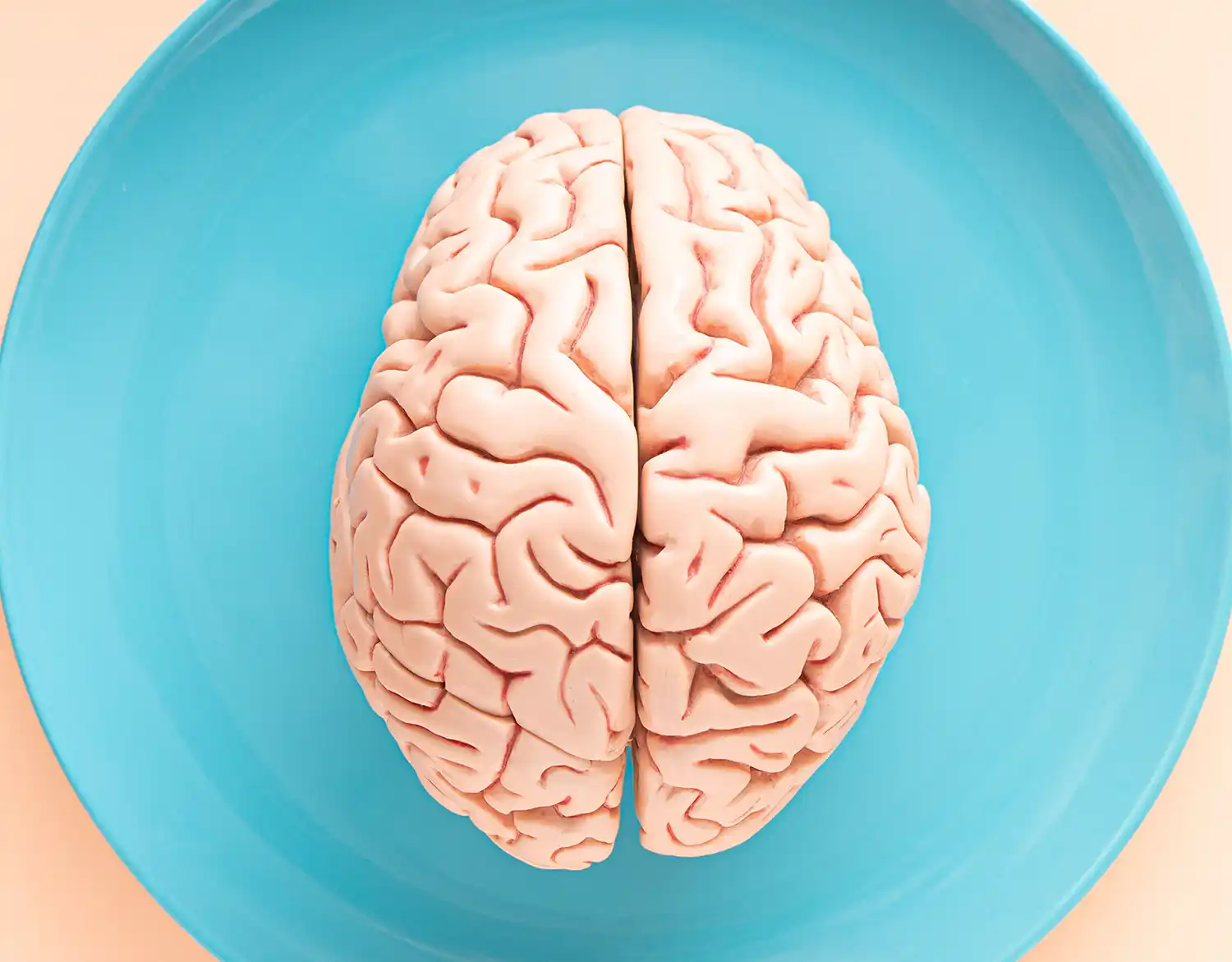 Mózg na talerzu jak symbol manipulacji umysłem